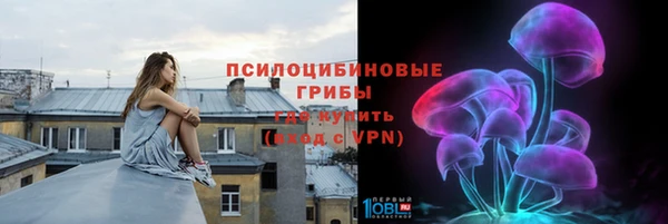 стафф Касимов