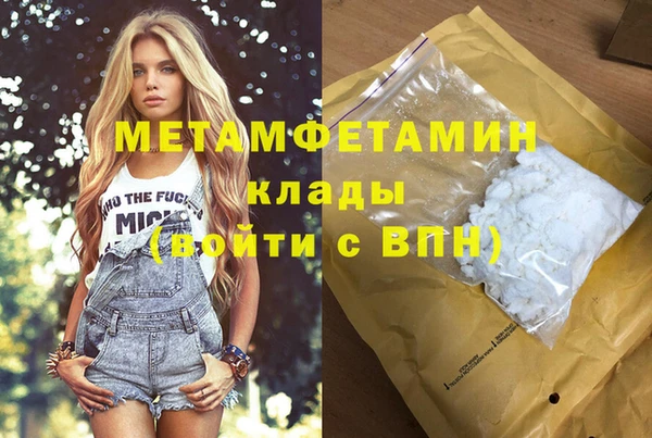 стафф Касимов