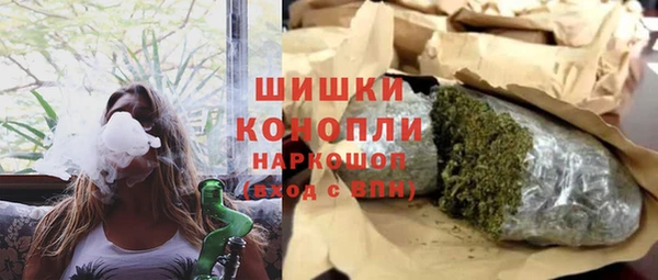 стафф Касимов