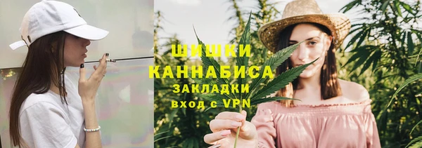 стафф Касимов